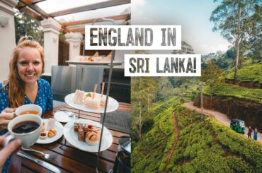 Trying BRITISH Afternoon Tea.. in Sri Lanka?? + Tea Plantation Tour & Epic Hike (Nuwara Eliya)