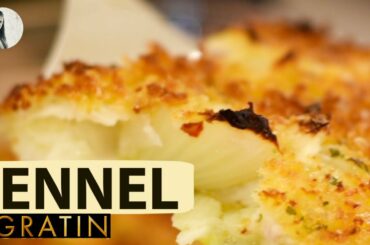 Fennel Gratin