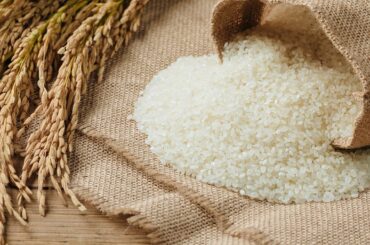 Food security fears surge as countries block exports