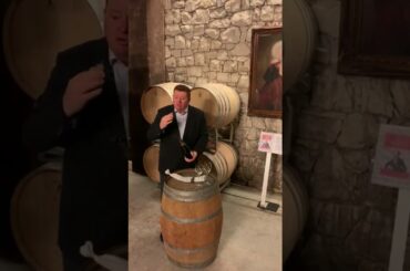 Barone Pizzini - Brut Animante