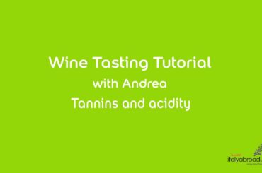 Wine Tasting Tutorial - Acidity & Tannins