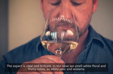 Degustazione Ca' Fischele  - Wine Tasting Ca' Fischele