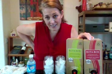 Wine Spritzers!  and a Kitty and Spumoni!   Tipsy Shaker