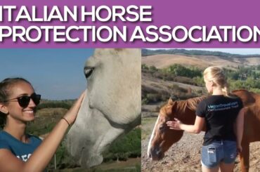 Vegan Travel to Italian Horse Protection Association