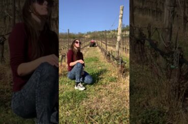 Gianni Tessari Winery - Castelfeder & Partner - Veneto (english version)