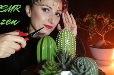 ASMR //🌱🌳 Ti rilasso con il mio ZEN Garden 🌵🍀// Italian relax