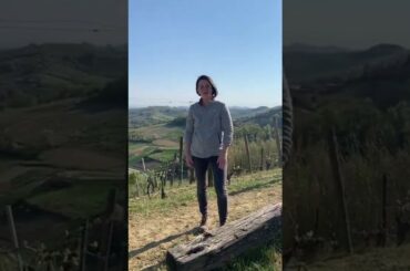 Vincenzo Bosotti Winery - Castelfeder & Partner - Piedmont (english version)