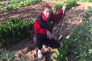 Three-Minute Vacation: Visit Puglia, Italy to Learn About Local Food with Debora