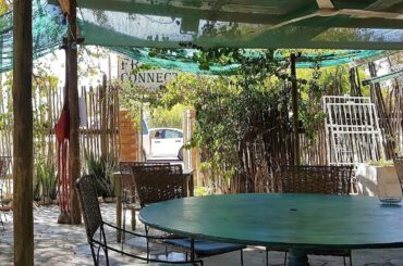 Top rated Restaurants in Maun, Botswana | 2020