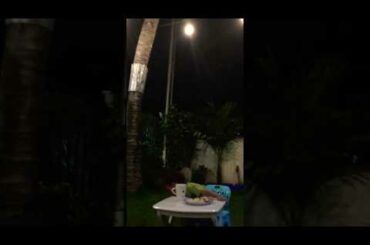 Jase dining in Mamma’s Kitchen