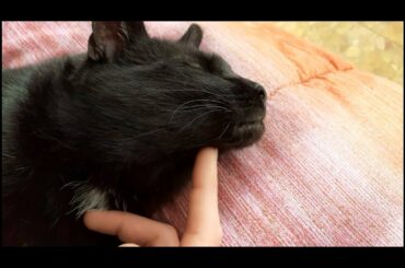 Day in my life during quarantine in Italy (training, drawing and cooking)