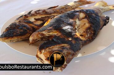 Fatty Acids Can Be Beneficial  | Food Facts | Poulsbo Restaurants