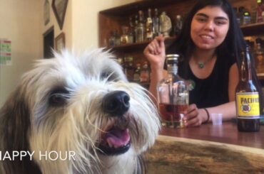 What is it like to live in Los Cabos 2020