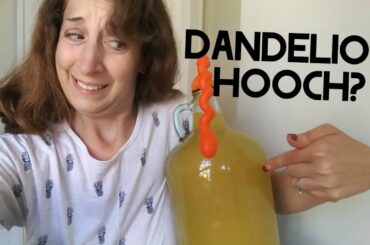 Island-Steading Part 2- Making Dandelion "Hooch" and The Most Desirable Bread Ever!