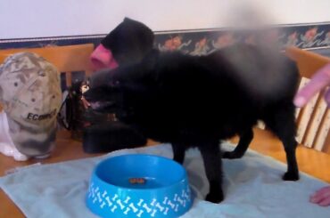 EBONYS 16TH BDAY DINNER