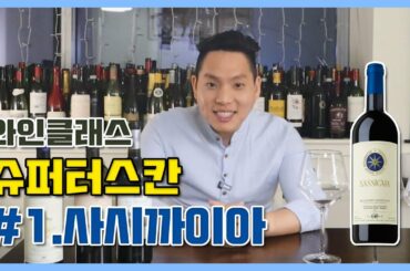 [와미남] 이탈리아 5대 슈퍼터스칸이 왔다! 룰을 깨고 탄생한 명품 와인들, 알고보면 모두 한 가족이었다?! - Part 1. 사시까이아 (Sassicaia)