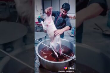 #FoodWorld #IndianFood #ArabicFood #Italian #Spanish #AllDishes #NonVeg #VegDishes #Recipes #foods