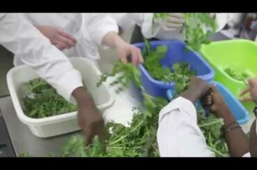 Italian Cuisine Lucca | Scuola Internazionale di cucina | Come cucinare le crepes alle verdure