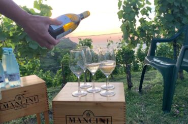 Outstanding Wine Tasting in Rimini