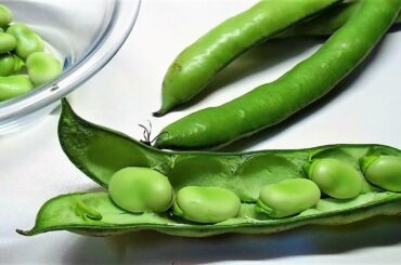 Fava Beans Simple and Tasty Recipe. How to cook Fresh fava beans Italian style.