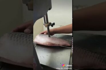 #FoodWorld #IndianFood #ArabicFood #Italian #Spanish #AllDishes #NonVeg #VegDishes #Recipes #foods