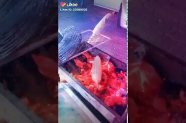 #FoodWorld #IndianFood #ArabicFood #Italian #Spanish #AllDishes #NonVeg #VegDishes #Recipes #foods