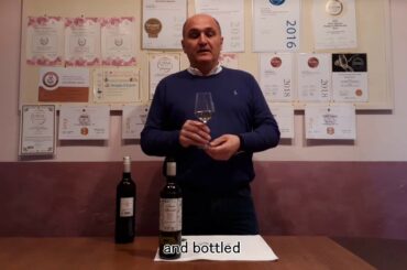 Sauvignon DOC Anna Spinato - The tasting