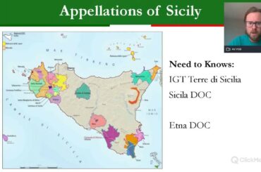 The Wines of Sicily for WSET L3