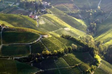 Taste and Talk W&S Batasiolo Barolo