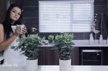 Living / Dining / Kitchen Design Ideas in The Same Open Layout - Open Kitchen #openkitchen