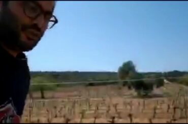 Antonio Argiolas Is Solinas