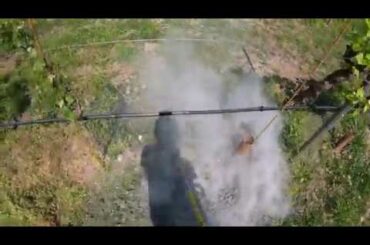 1hr Italian guy cuts Italian grass in Italian vineyards 4k|30fps for relaxation and meditation