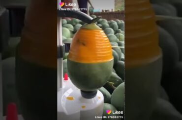 Mango Cutting Machine #IndianFood #ArabicFood #Italian #Spanish #AllDishes #NonVeg #VegDishes#sweets