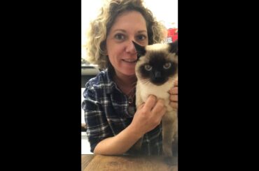 ITALIAN STYLE: SPAGHETTI