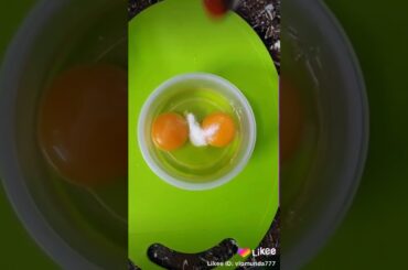 Bread Egg Mawa #IndianFood #ArabicFood #Italian #Spanish #AllDishes #NonVeg #VegDishes #sweets #curr