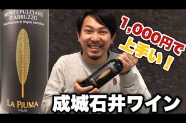 【イタリア 赤ワイン】成城石井で買えるお手頃ワイン見つけました、パスタが食べたくなるワイン！ ゆきおとワイン145「La Piuma Montepulciano d'Abruzzo 2018」