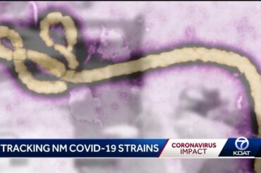 Where did the COVID-19 cases in NM come from?
