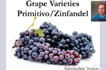 Grape Varieties - Primitivo/Zinfandel Intermediate ideal for WSET L2