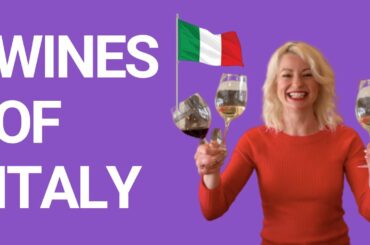 Wines of Italy (Prosecco, Pinot Grigio and Chianti Explained)