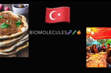 Biomolecules|Turkish Cuisine 🇹🇷🌮