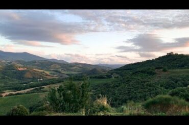 How WINE is Made at a TUSCAN VINEYARD (Brunello di Montalcino)