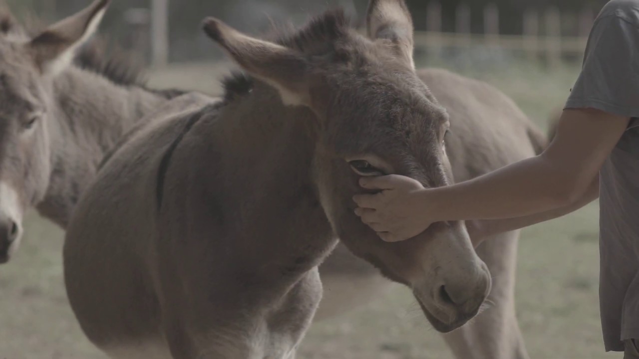 Podere Erica Winery Podere Erica Winery