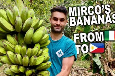 From Italy to a Life in The Philippines! Mirco's Bananas!