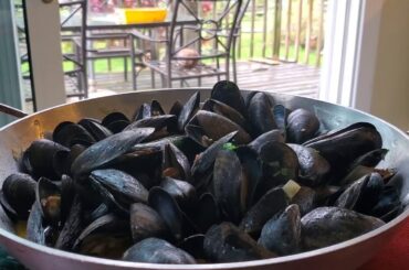 Mediterranean Mussels with wine 지중해식 홍합 와인 소스