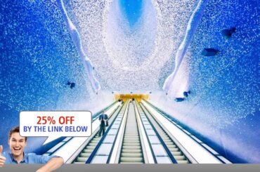 MariaFrancescas House, Naples, Italy review