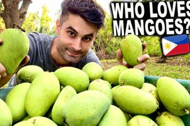 Italian Harvesting Mangoes in the Philippines