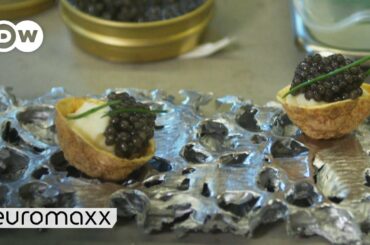 Austrias only 3 Star Restaurant | Star Cuisine Secrets from the Chef | Puffed Potatoes with Caviar