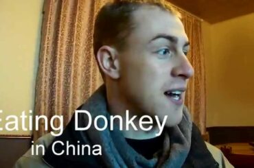 Eating Donkey meat in China!