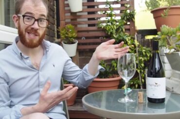 Wine Tasting w/ The Ginger Donut - Episode 4 - Rosso Piceno