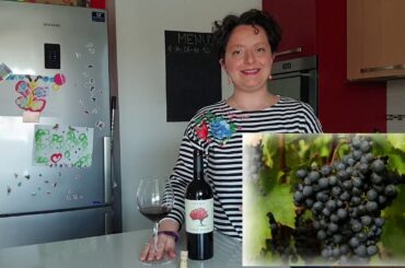 Sommelier at your's for... CARMENERE INAMA 2016